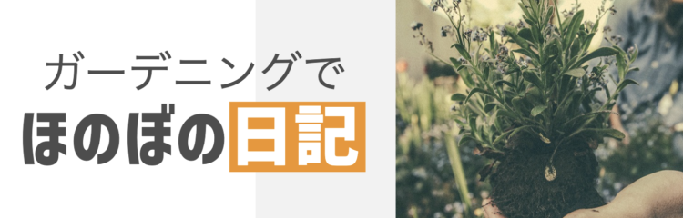 cook 今日なに作ろ？